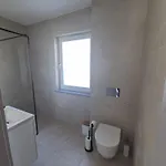 Apartman Roz *